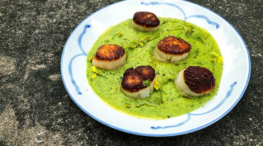 Fresh Pea Soup With Turmeric And Scallops